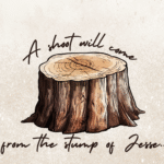 Purchased Audio (The Catholic Bible Class with Mon)